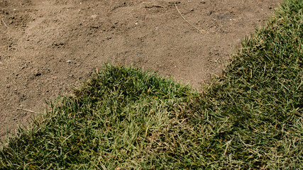 Sod installation process