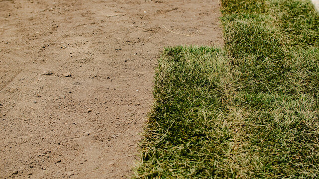 Sod installation on soil