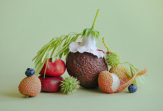 Colorful assortment of tropical fruits on green background
