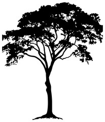 Teak tree silhouette drawing element