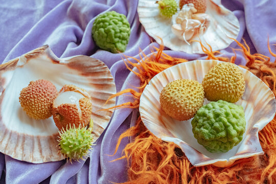 Colorful tropical fruits arranged elegantly on shells