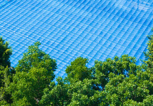 Blue Shade Net Canopy Over Green Trees Sun Protection
