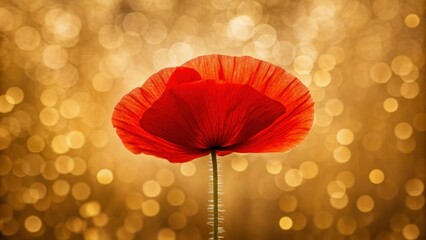 Vibrant flower stands tall in meadows, showcasing its beauty and elegance amidst backdrop of shimmering golden light