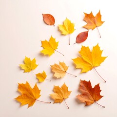 Autumn leaves arranged on a light background.
