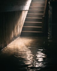 Flooded basement stairs (1)