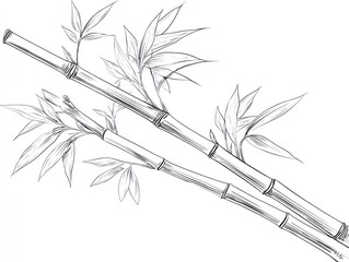 A sketch of bamboo stalks and leaves