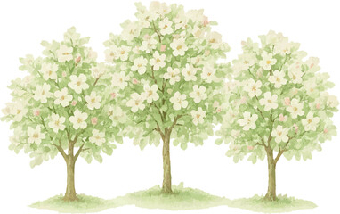 Obraz premium Watercolor Trees and Flowers Collection – Seasonal Botanical Illustrations with Transparent Background