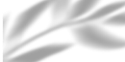 Gentle Gray Haze Overlay on Clear Surface for Subtle Atmospheric Depth in Photography and Digital Artwork Enhancements and Creative Compositions