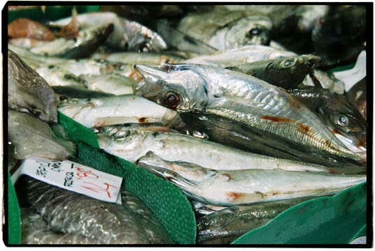 fresh cuttlefish and fish at market stall, 35mm