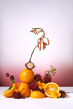 Colorful composition of tropical fruits and flowers 