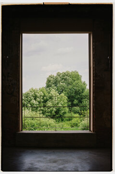 Framed view of lush greenery from an open window