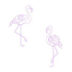 Minimalist line art illustration of Flamingo