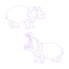 Minimalist line art illustration of hippopotamus