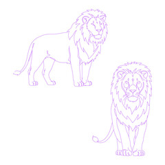 Minimalist line art illustration of lion