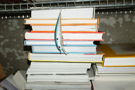 Shiny fishing fish lure object tool hanging in office bookshelf 