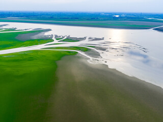 Dry river, green textures overhead, tree of life landscape