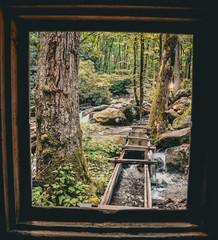 widow overlooking old watermill 