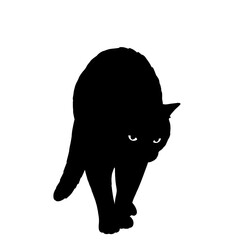 Silhouetted feline strikes a pose in a high contrast image, with a menacing look and sleek figure.