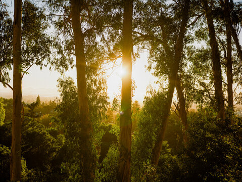 Berkeley, CA