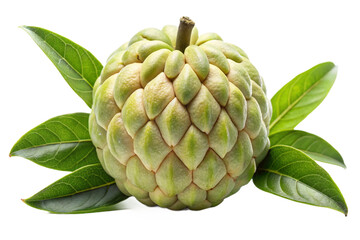 Fototapeta premium Custard apple fruit with green leaves on a black background