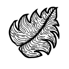 monstera 2.eps