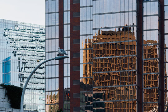 Minimalist Facade of Vancouver Skyscraper
