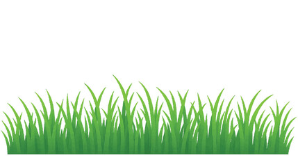 Fototapeta premium Vector Illustration of Fresh Green Grass with Transparent Background