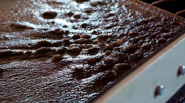A macro shot shows thick brown sludge and solid waste bubbling on a filtration screen during the purification and sanitation process at an industrial wastewater treatment plant.
