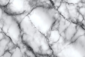 Premium white marble with intricate natural vein patterns