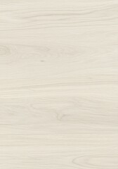Light Natural Wooden Surface with Fine Grain and Smooth Texture for Background or Interior Design