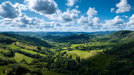 Fototapeta premium Stunning Panoramic View of Lush Green Hills and Vineyards Under a Blue Sky with Fluffy White Clouds