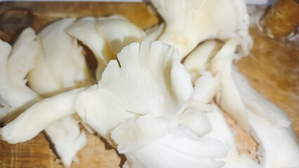 Isolated white of mashrooms whole and sliced champignons 