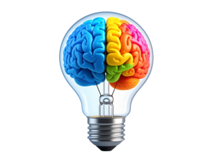 Light Bulb with Colorful Brain Halves Symbolizing Creativity and Logic, Isolated on White (2)