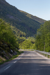 Scenic views of Norwegian fjords, snowy mountains, rural roads, seagulls, farm animals, and lush summer landscapes across Lofoten and Northern Norway in stunning Scandinavian nature.