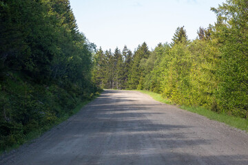Scenic views of Norwegian fjords, snowy mountains, rural roads, seagulls, farm animals, and lush summer landscapes across Lofoten and Northern Norway in stunning Scandinavian nature.