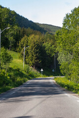 Scenic views of Norwegian fjords, snowy mountains, rural roads, seagulls, farm animals, and lush summer landscapes across Lofoten and Northern Norway in stunning Scandinavian nature.