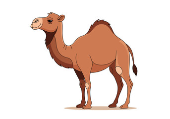A realistic illustration of a camel standing on the sand in the desert with the sun shining brightly overhead