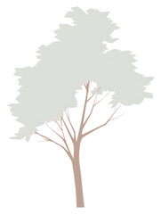 PNG A tree outdoors drawing sketch.