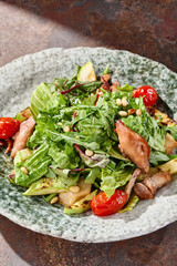 Duck salad with zucchini and tomatoes, bright rustic lighting, overhead composition