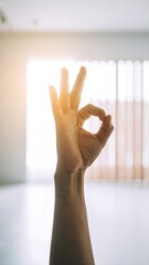 Hand making an okay sign (1)