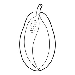 vector illustration of a fruit 