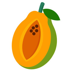 vector illustration of an orange fruit