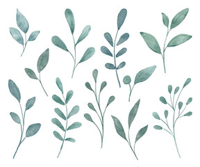 Leaves digital illustration, spring design, watercolor hand painting. Perfectly for printing, sublimation.