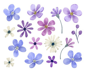 Flowers digital illustration, spring design, watercolor hand painting. Perfectly for printing, sublimation.