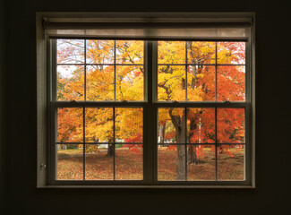 Window view to picturesque autumn trees at a park in New England