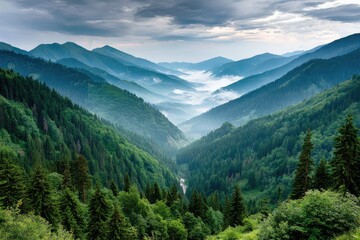 Misty mountain valley, lush green forests, distant peaks