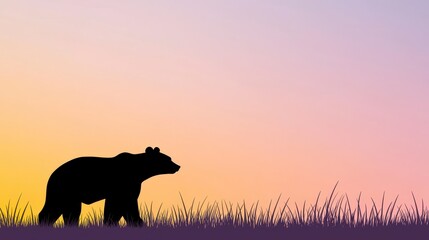 Bear Silhouette at Sunset in Purple Grass Field