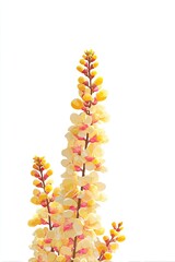 Close-up of vibrant yellow-pink flowers