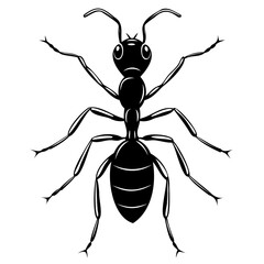 Illustration of an ant isolated on white background