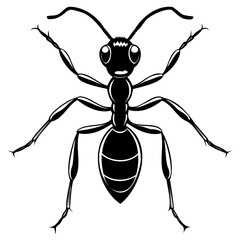 Illustration of an ant isolated on white background